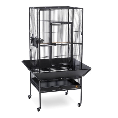 Enhance Your Feathered Friend's World with the PREVUE PET PRODUCTS Park Plaza Large Bird Cage