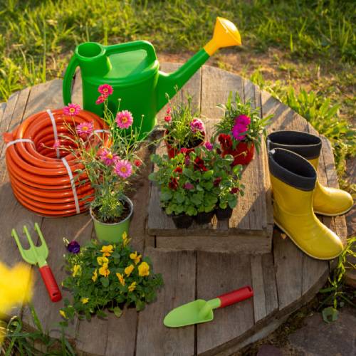Transform Your Garden with Paint & Plant Stoneware Flower Gardening Kit - Buy Now