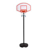 Portable Basketball System