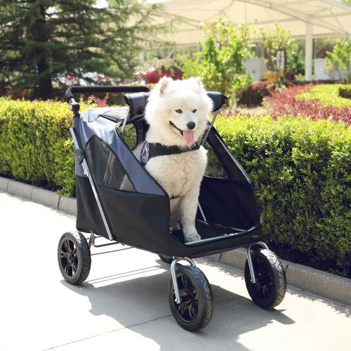 Best Dog Stroller for Medium Sized Dogs