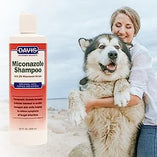 Can Dogs and Cats Use the Same Shampoo