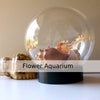 Flower Aquarium: A Unique and Beautiful Addition to Your Home