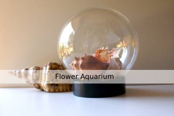 Flower Aquarium: A Unique and Beautiful Addition to Your Home