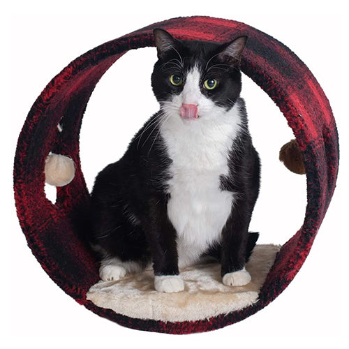 Cat Bed for Indoor Cats