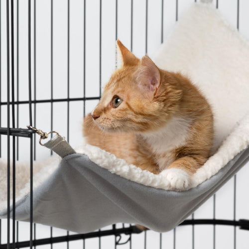 Creating a Cat-tactic Home: The Ultimate Cat House Guide
