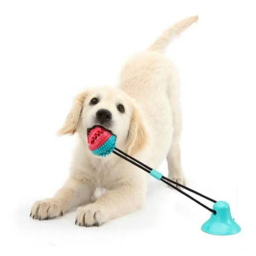 Dog & Puppy Toys Dog Chew Toys & Balls - KARTIT