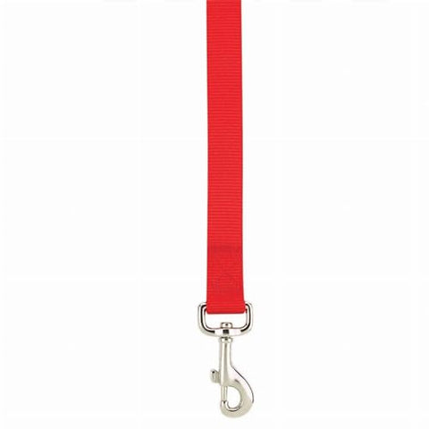 PetEdge GG Reflective Collar 10-16In Org
