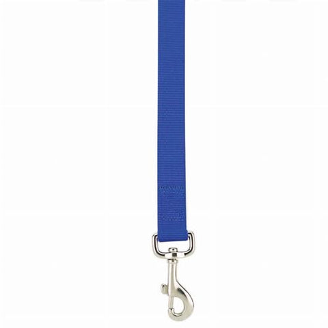 PetEdge GG Reflective Collar 6-10In Org