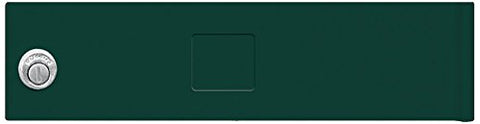 Salsbury Industries 3351GRN Replacement Door and Lock Standard A Size for Cluster Box Unit with Keys, Green