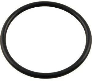 Pentair 350013Z Lid O-Ring, Black