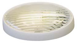 Gustafson Lighting GSAM4046 Replacement Lens for Oval Porch Light - Clear