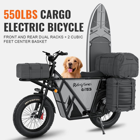 GT53 Cargo eBike
