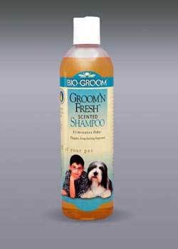 Bio-Groom Groom N Fresh Cond Shamp 12oz