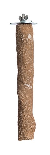 Prevue Pet Products Pacific Perch Beach Branch Medium 1011