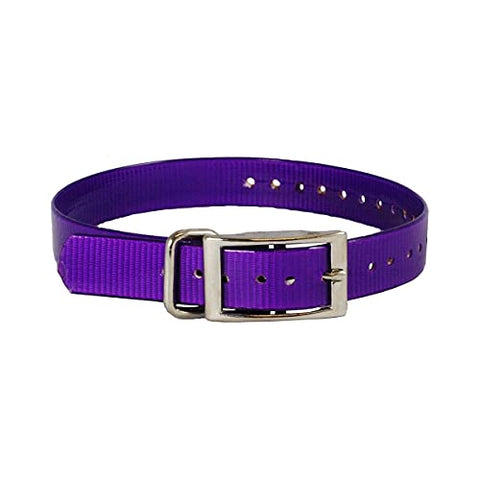 petstores The Buzzard's Roost Dog Collar 1 inch Strap Purple Medium