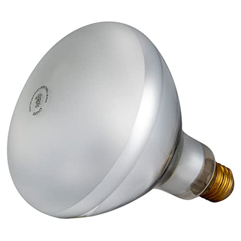 PENTAIR BULB AM 500W 120V