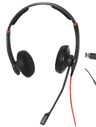 DataLocker Wired Headset with Microphone for PC - TAA Compliant Computer Headphones Adjustable Headband (AT1000Hs USB A)