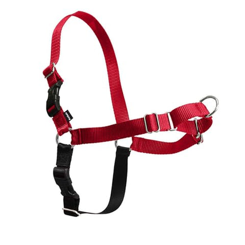 PetSafe Easy Walk Harness for Dogs - Pull-Free Walks - Patented Martingale Loop Design - Front Chest Leash Attachment - Comfort Straps - Breathable Harness Design - Small, Red/Black