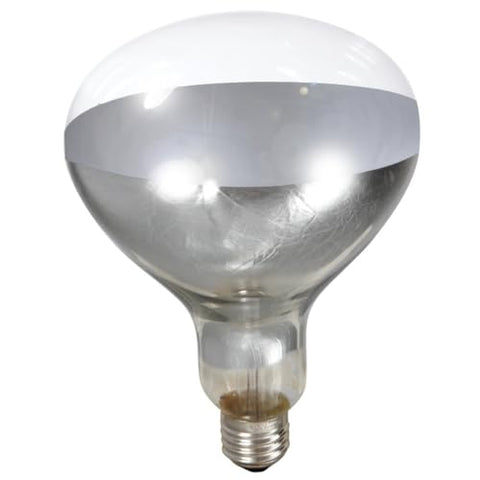 Little Giant® Bulb for Brooder Lamp | Heat Lamp | 6000 Hour Life | 250 Watt | Clear Bulb