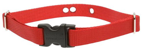 LupinePet Basics 3/4" Red 16-24" Containment Collar Strap for Medium and Larger Dogs