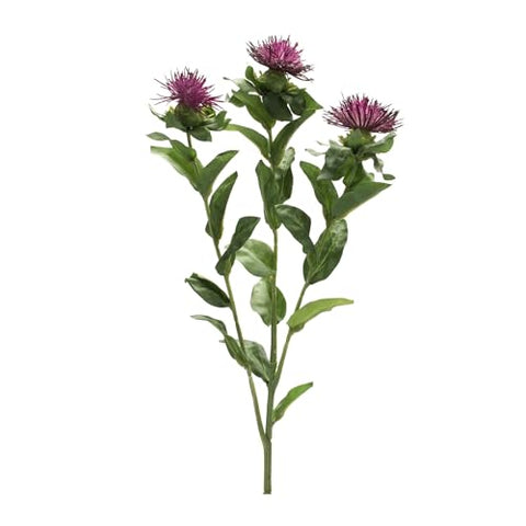 Melrose Set of 6 Polyester Thistle Spray with Green Finish 85704DS