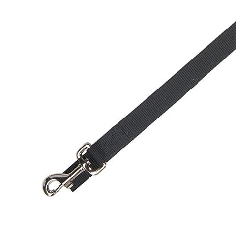 Zack & Zoey Basic Nylon Dog Leash, 6-Feet x 1-Inch Lead, Jet Black