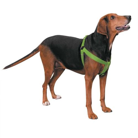 Guardian Gear 2 Step Pet Harness