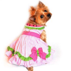 Dress | Watermelon Picnic