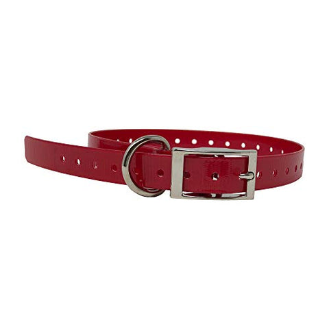 3/4" Wide Replacement Pet Collar Strap - Red