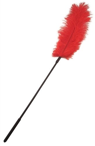Sportsheets International Inc Ostrich Feather Red