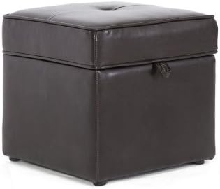 Baxton Studio Sydney Modern Ottoman Storage Ottoman, Brown