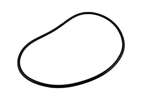 Zodiac R0480300 Backplate Seal O-Ring Replacement for Zodiac Jandy FloPro FHPM Series Pump