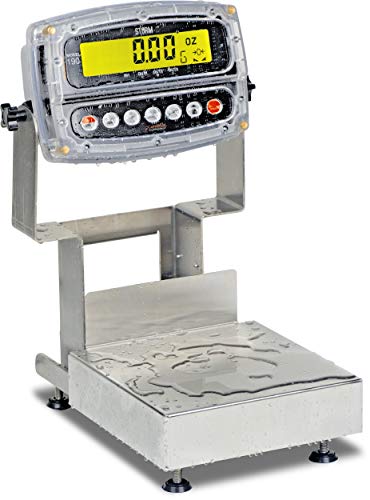 Bench Scale, Washdown, Electronic, 8" x 8", 30 Lb Capacity, Stainless Steel, 190 Indicator