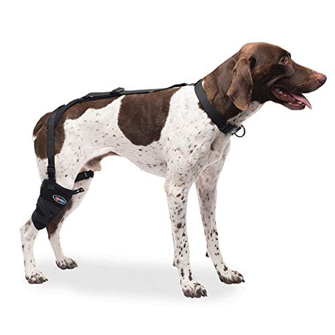 Caldera Pet Therapy Short Stifle Wrap with Gel, Medium
