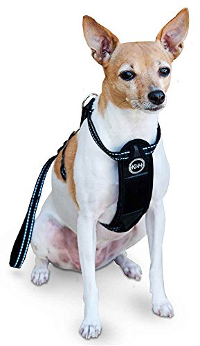 K&H Pet Products Travel Safety Pet Harness Large Black 20"-30"