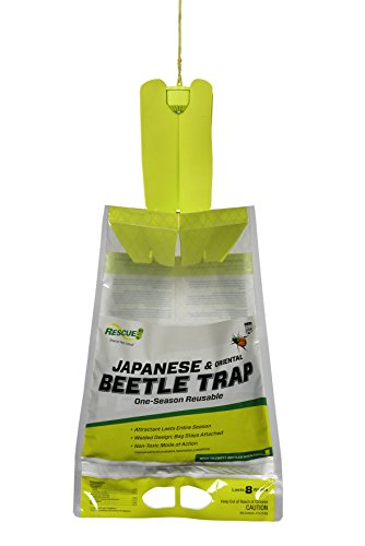 RESCUE! Big Bag Fly Trap – Disposable, Outdoor Use