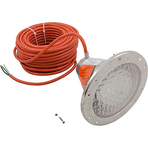 PENTAIR AM SS 300W 12V 100FT