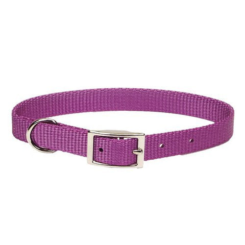 401 14 Ord 5/8 Nyl Web Collar