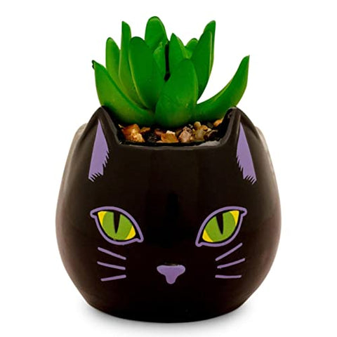 Disney Hocus Pocus Binx is My Boo 3-Inch Ceramic Mini Planter with Artificial Succulent | Small Flower Pot for Crafts, Faux Indoor Plants for Desk Shelf, Home Decor Trinket Tray