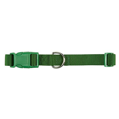 Zack & Zoey 1" Wide Nylon Dog Collar, Fits Necks 18" to 26", Green