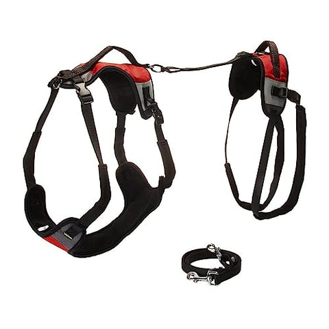 total Pet Health Liftt and Go Pet Lead, X-Large, Red