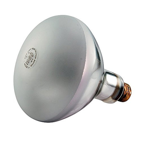 PENTAIR BULB AM 400W 120V