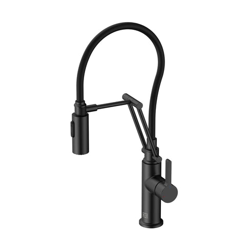Elegant Lighting Leonardo Single Handle Pull Down Sprayer Kitchen Faucet in Matte Black