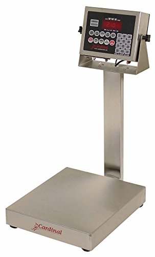 Bench Scale, Electronic, 12" x 10", 30 Lb Capacity, Stainless Steel, 210 Indicator