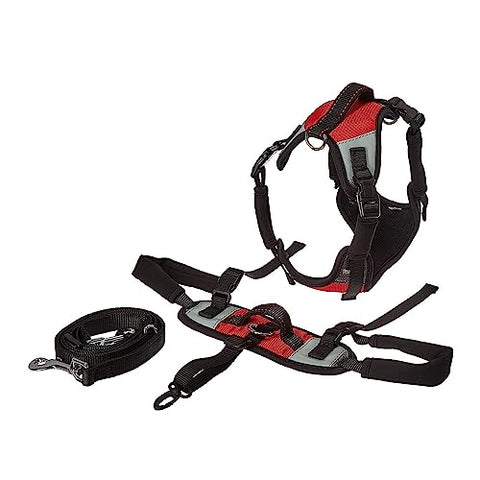 Total Pet Health Lift and Go Dog Lead, Medium, Red