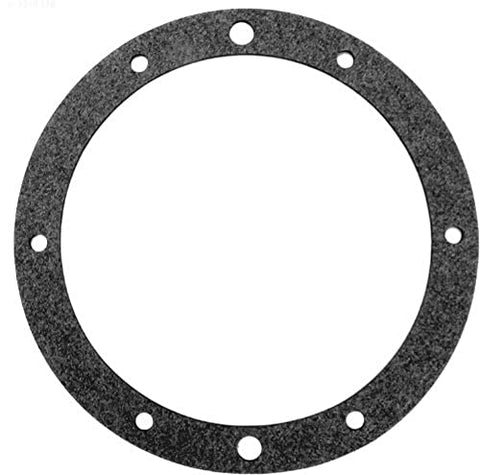 PENTAIR GASKET SB VINYL