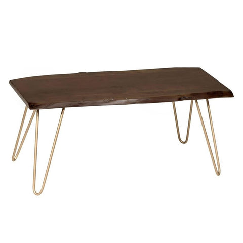 Carolina Classic SETI Live Edge Coffee Table and Bench in Elm and Gold