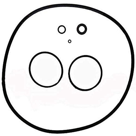 JANDY PRO SERIES O-RING SET CS FILTER