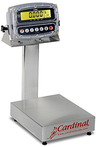 Bench Scale, Electronic, 12" x 10", 15 Lb Capacity, Stainless Steel, 190 Indicator