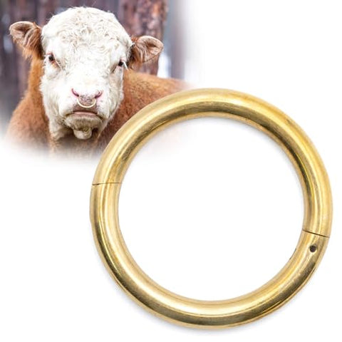 Jeffers Bull Rings, Large (3.5" x 3/8")- Self Piercing Copper Bronze Livestock Ring with Screws for Cattle, Bulls, Farm Supplies, Livestock Equipment, Metal Nose Ring, Veterinary Tools, Brass Style